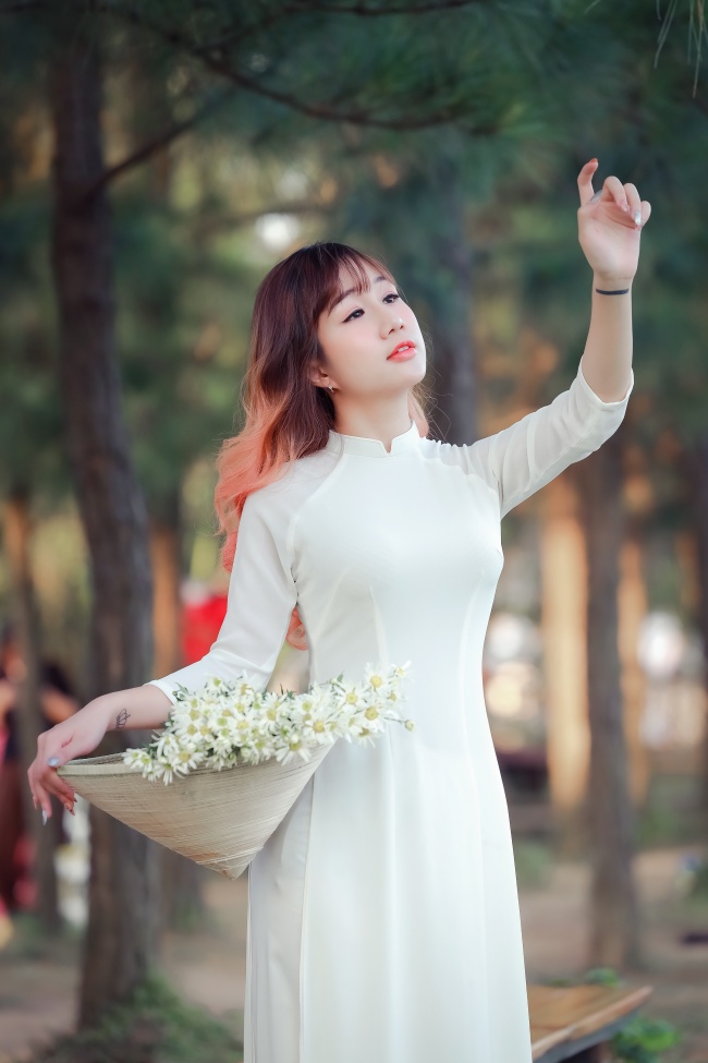 香烟牌